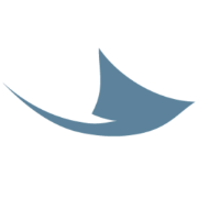 The Ray Logo